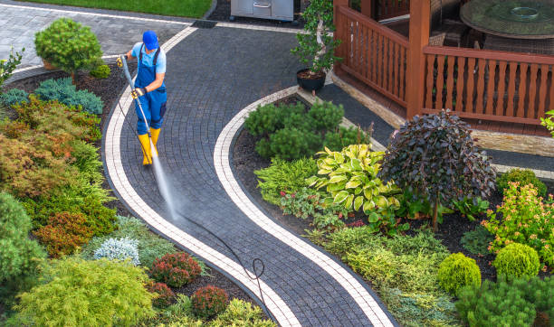 Best Commercial Building Pressure Washing  in Anthem, AZ